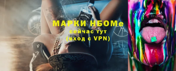 хмурый Аркадак
