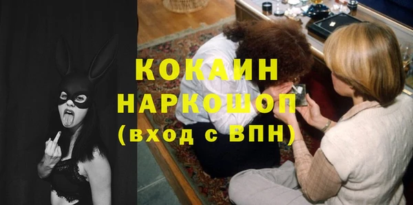 хмурый Аркадак