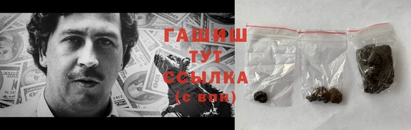 хмурый Аркадак