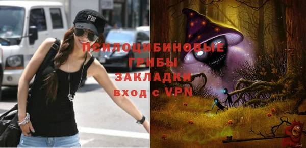 бошки Армянск