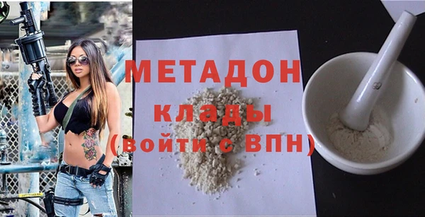хмурый Аркадак
