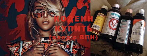хмурый Аркадак